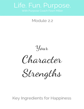 2.2. Character Strengths
