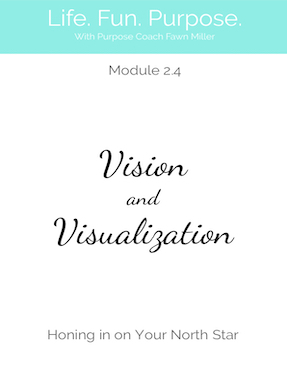 2.4 Vision and Visualization