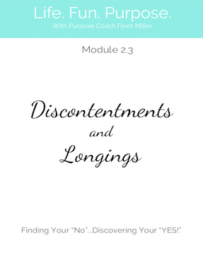 Module 2.3 Discontentments and Longings