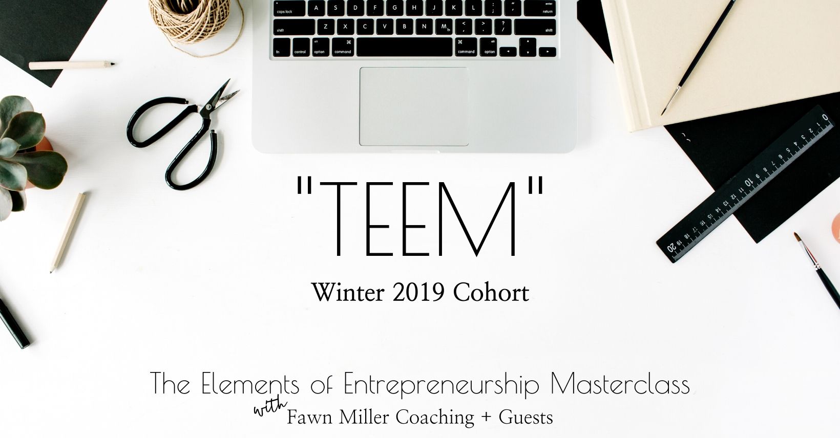 TEEM Winter 2019 fb Banner