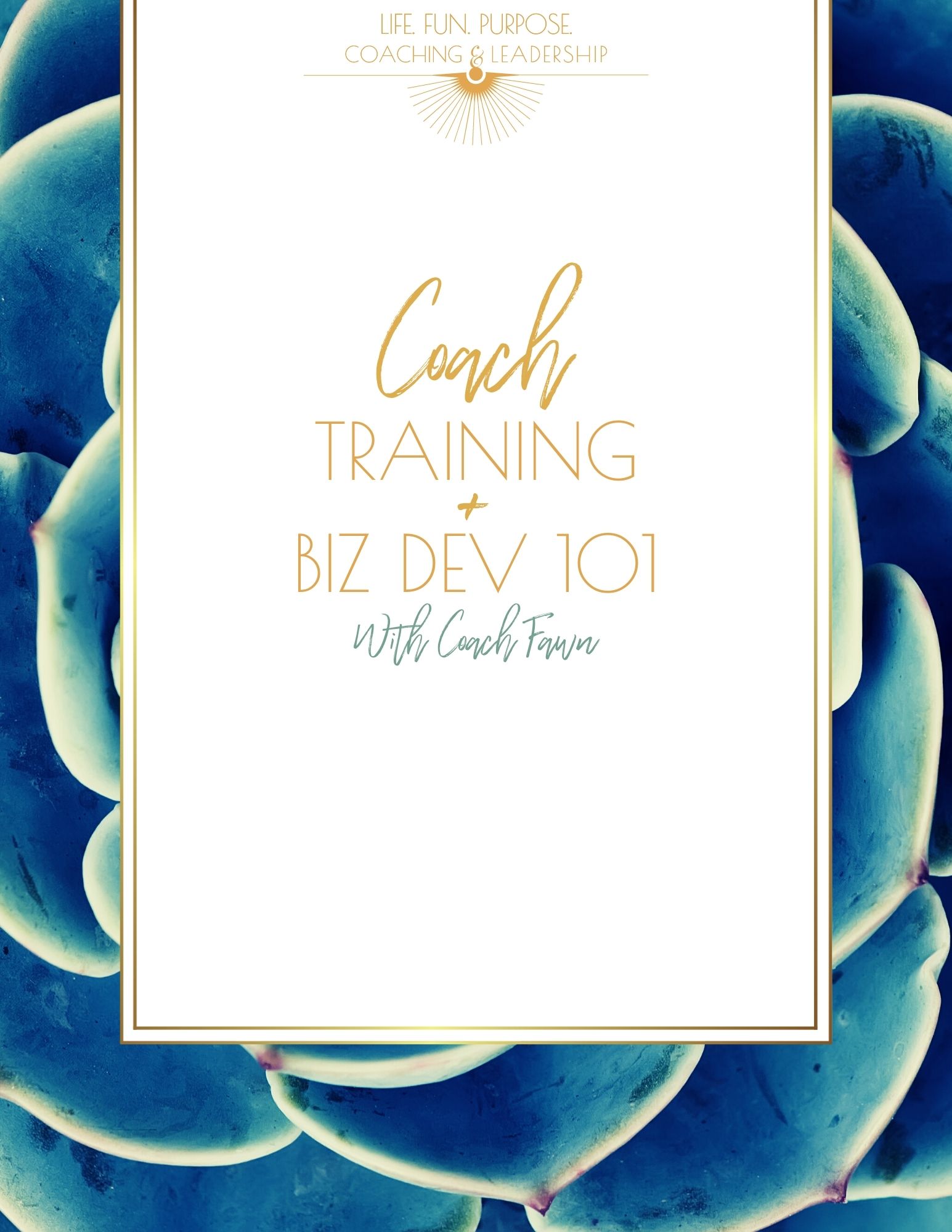 COACH TRAINING 101 COVER